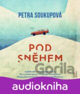 Pod sněhem
