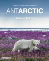 Antarctic