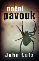 Noční pavouk