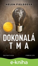 Dokonalá tma