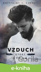 Vzduch, který dýchá