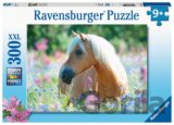 Kůň