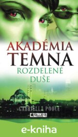 Akadémia temna 3 – Rozdelené duše