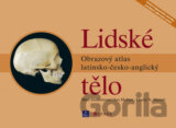 Lidské tělo