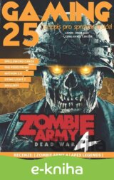 GAMING 25