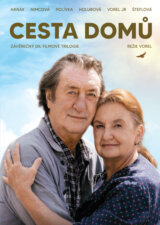 Cesta domů