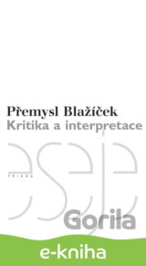 Kritika a interpretace