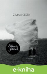 Zimná cesta