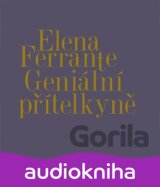 Geniální přítelkyně I.-IV.