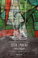 Cesta z prachu
