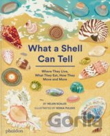 What A Shell Can Tell