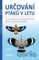 Určování ptáků v letu