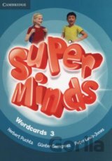 Super Minds Level 3