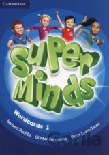 Super Minds Level 1