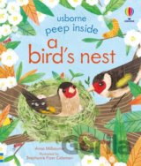 Peep Inside a Bird's Nest