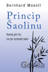 Princip Šaolinu