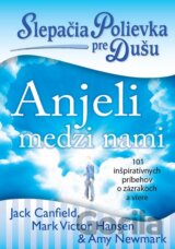 Slepačia polievka pre dušu: Anjeli medzi nami