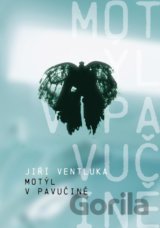 Motýl v pavučině