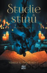Studie stínů