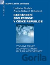 Nadnárodní společnosti v České republice