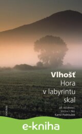 Vlhošť