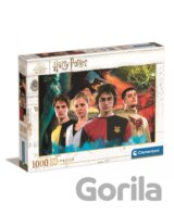 Harry Potter Turnaj čtyř kouzelnických škol
