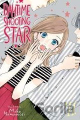 Daytime Shooting Star 11