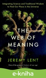 The Web of Meaning