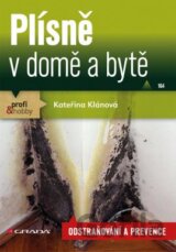 Plísně v domě a bytě