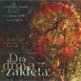 CM Technik Ostrava: Do dřeva zakletá