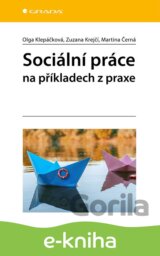 Sociální práce na příkladech z praxe