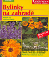 Bylinky na zahradě