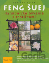 Feng šuej