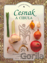 Cesnak a cibuľa