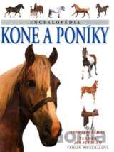 Kone a poníky
