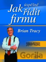 Jak úspěšně řídit firmu