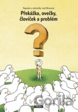 Překážka, ovečky, človíček a problém