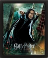 Harry Potter Obraz 3D - Snape