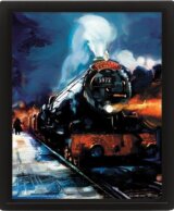Harry Potter Obraz 3D - Rokfortský expres