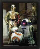 Obraz 3D Star Wars Droids