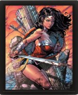 Obraz 3D Wonder Woman Battle