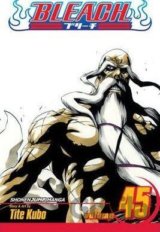 Bleach 45