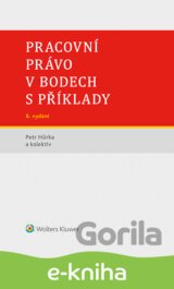 Pracovní právo v bodech s příklady - 6. vydání