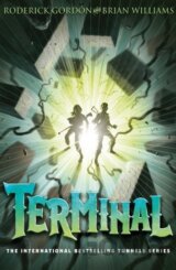 Terminal