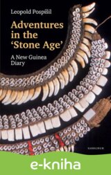 Adventures in the Stone Age