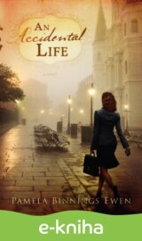 An Accidental Life