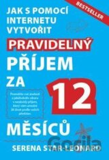 Pravidelný příjem za 12 měsíců
