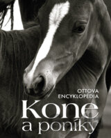 Kone a poníky