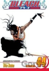 Bleach 44