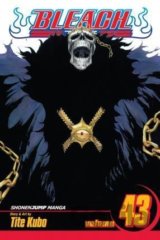 Bleach 43